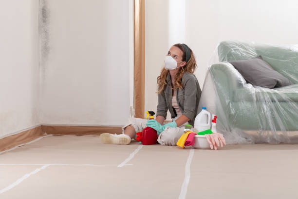 Reliable Black Mold Remediation contractor in Cedar Park, TX by Mold Remediation HQ